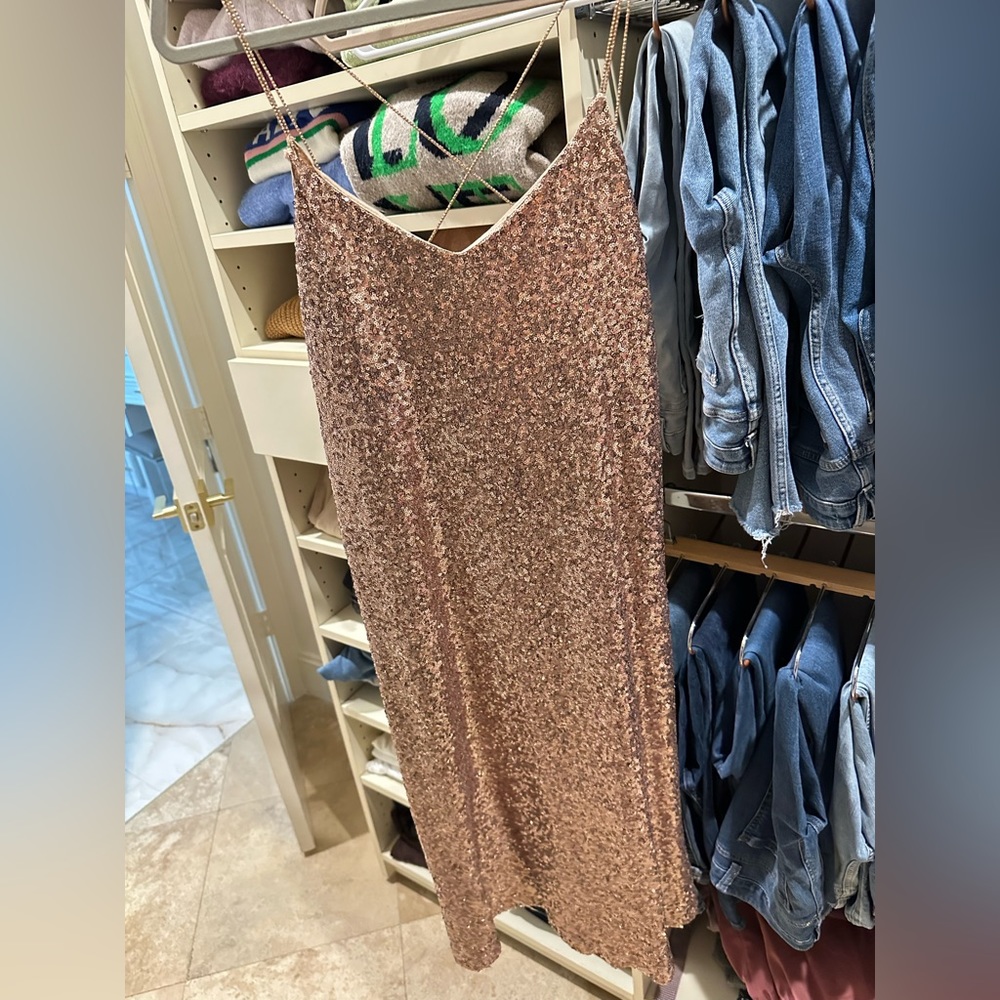 Zara Basics sequin dress Size S champagne - NWT